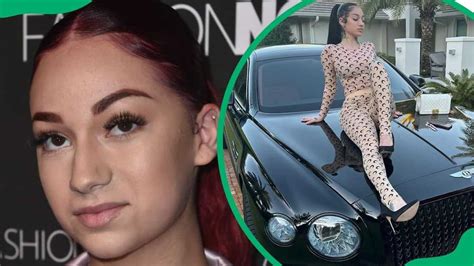 what is bhad bhabie net worth|Danielle Bregolis net worth: How Bhad Bhabie built her fortune